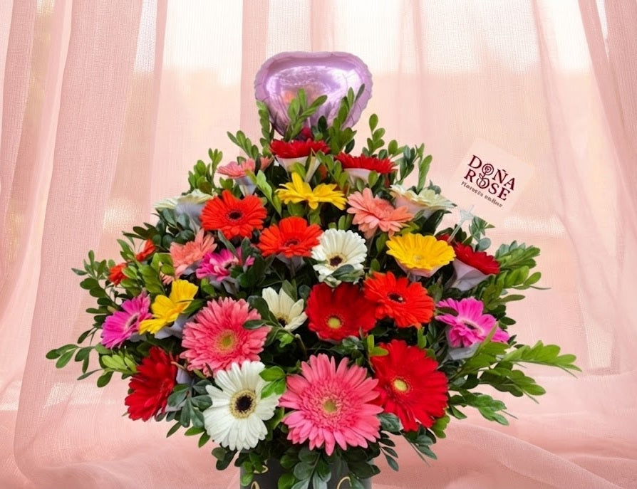 Box de 24 Gerberas “Colores del Día”