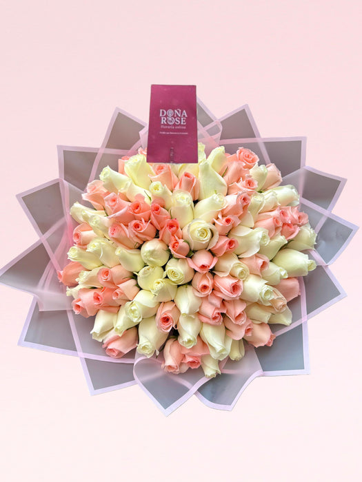 Ramo Buchón de 100 Rosas Rosado y Blanco “Aura Floral”