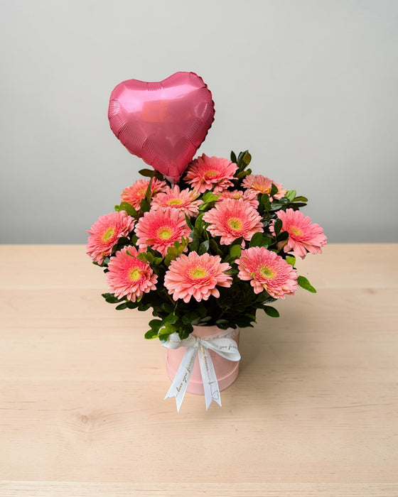 Box de 12 gerberas "Florecer"