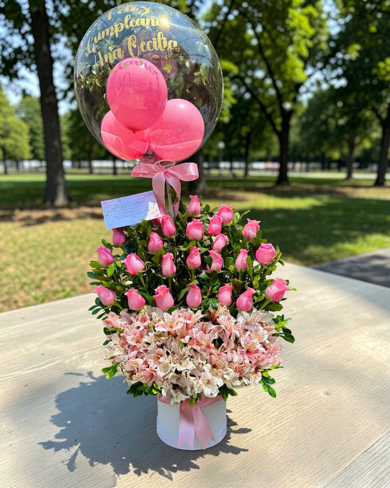 Box de 24 rosas rosadas "Cecilia"